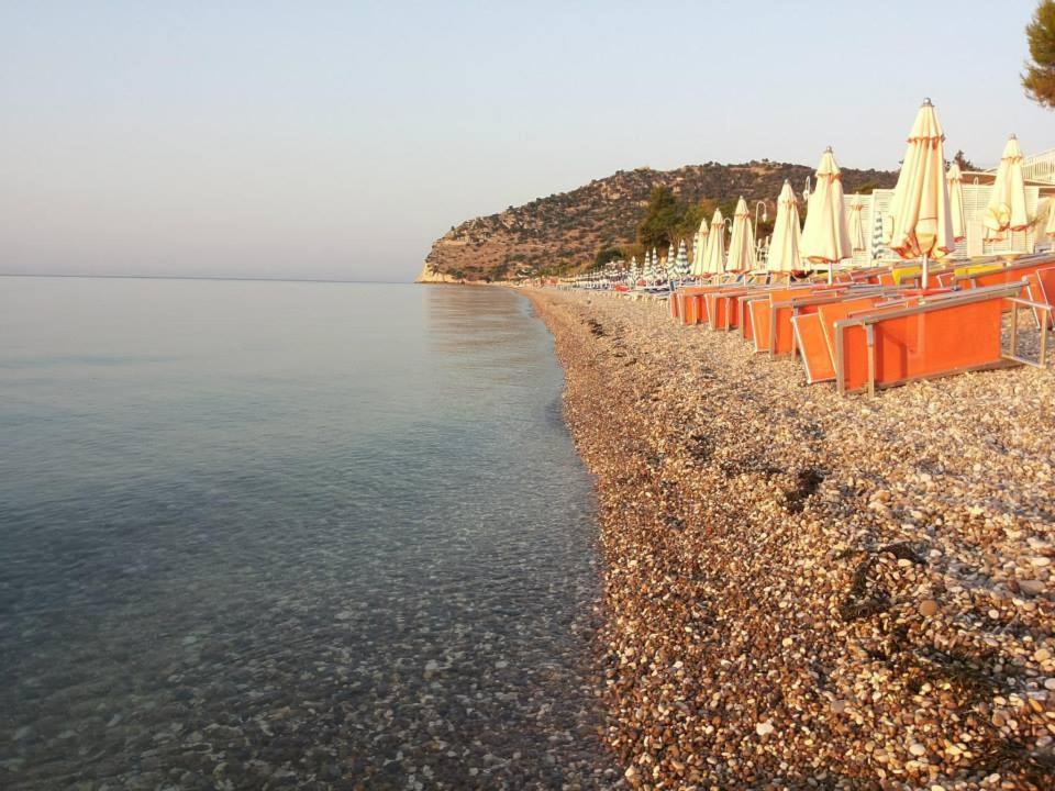 Adriatico Aparthotel *
